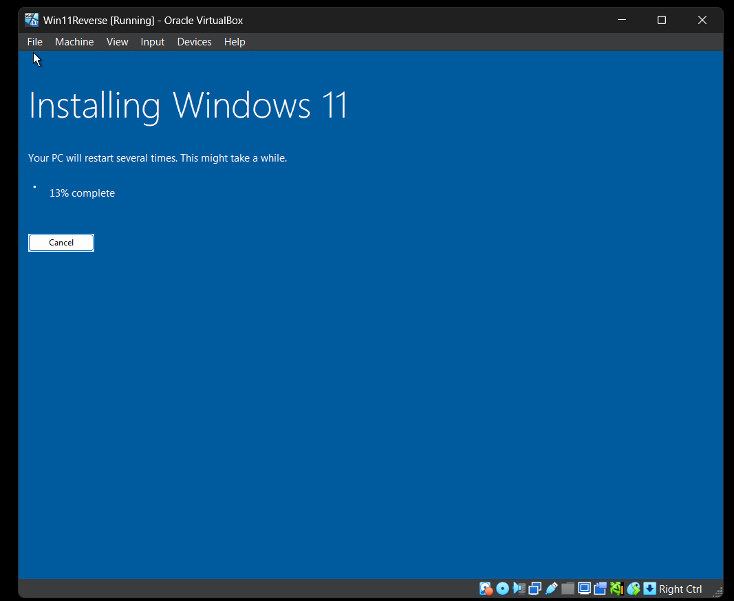 Windows VM setup