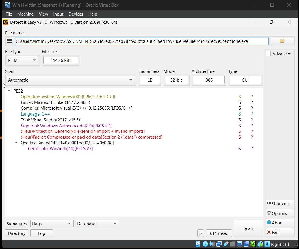 Detect It Easy output