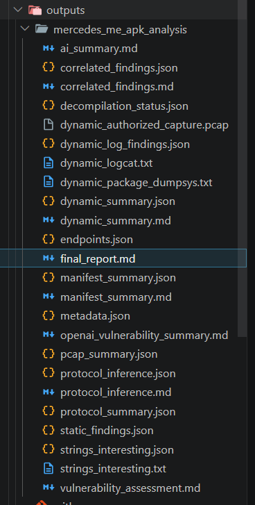 Output folder showing generated analysis artifacts